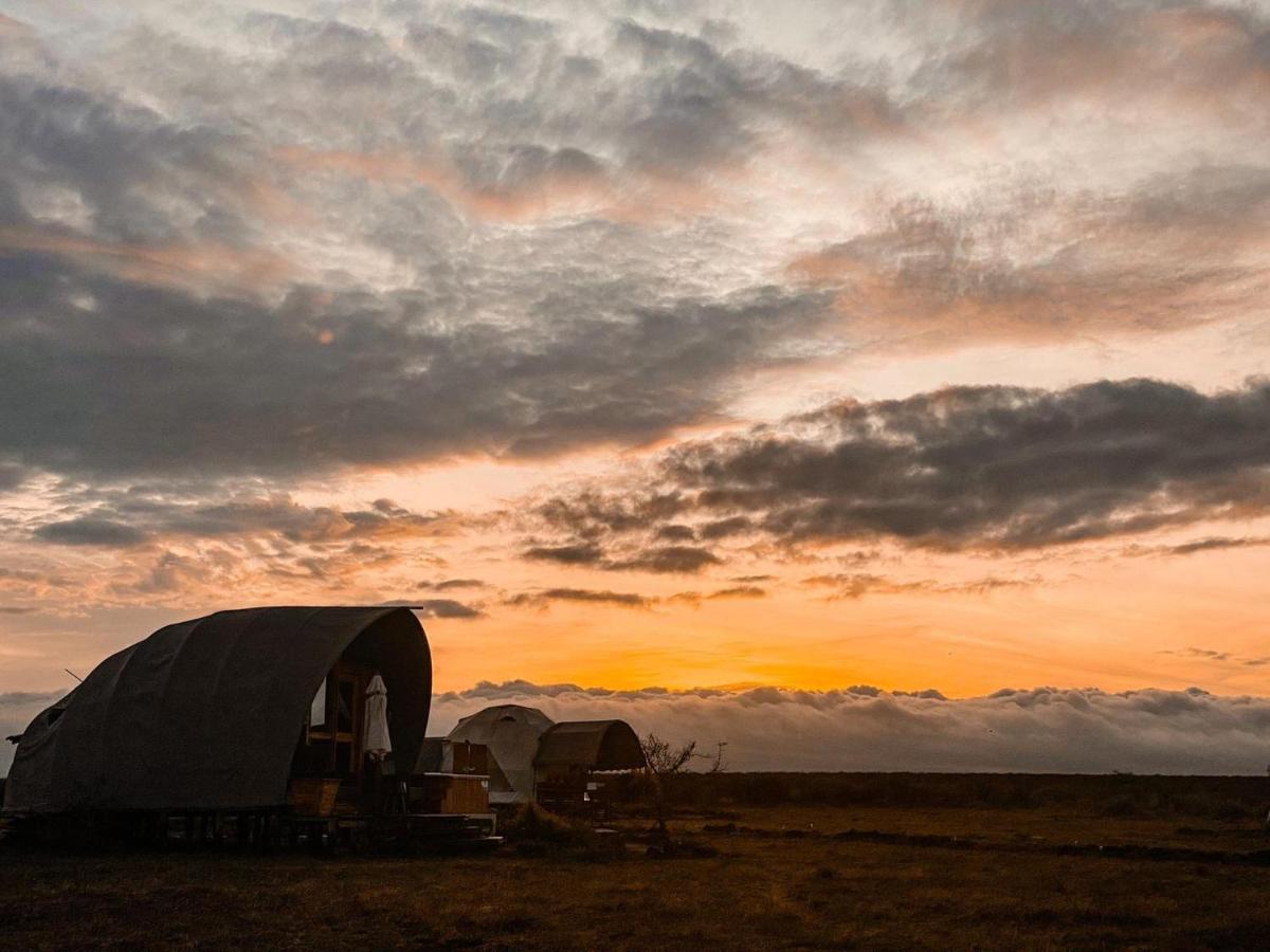 Amanya 1 -Bed King Lion Tent Amboseli Exterior foto